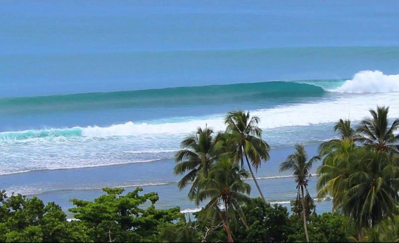 Log point wave