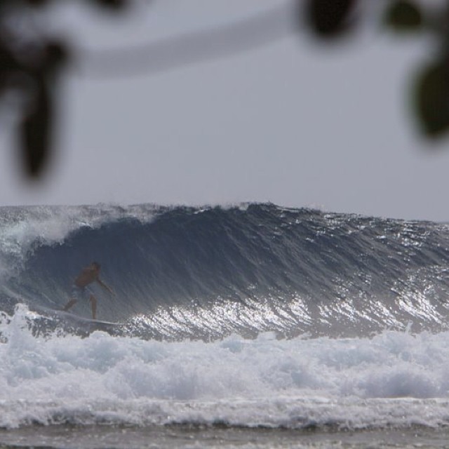 Jails wave